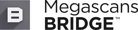 Megascan_Small_Logo_On_White_Software_Bridge