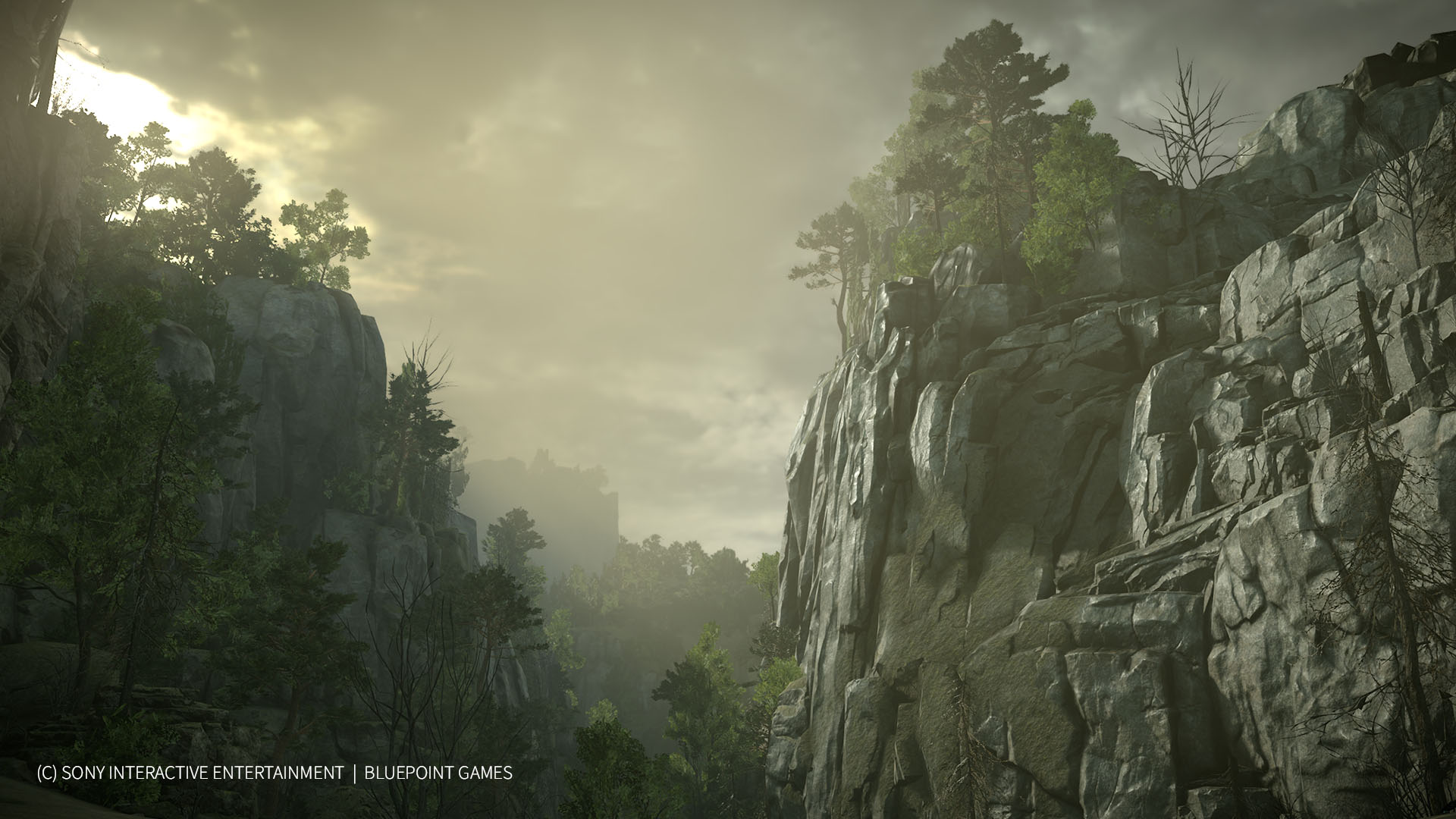 Reimagining Shadow of the Colossus with Quixel Megascans – Megascans